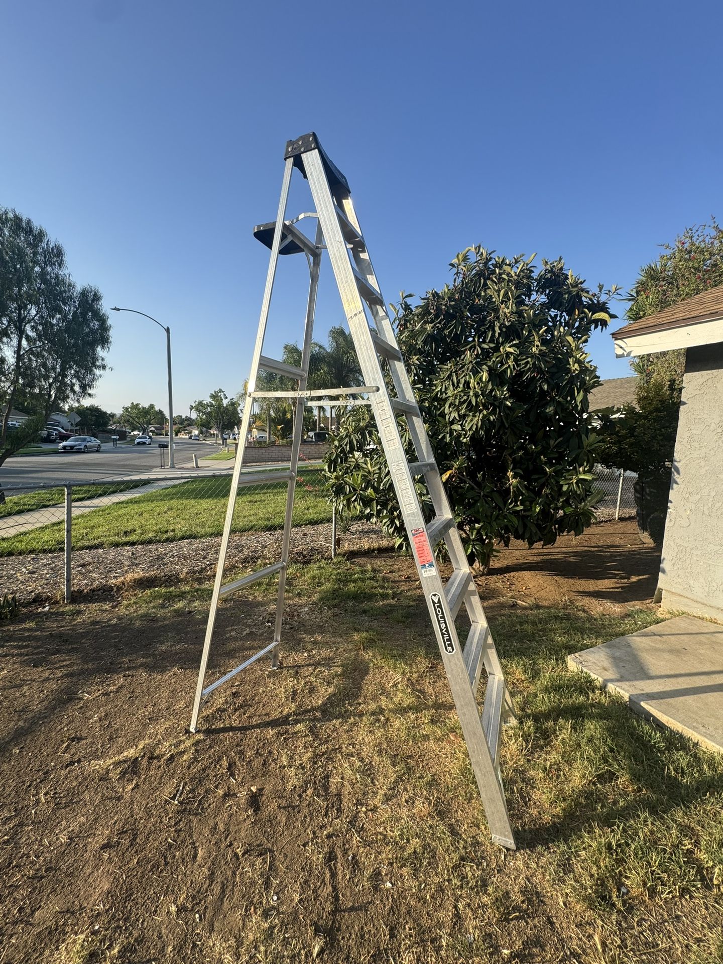 10ft Louisville Ladder 
