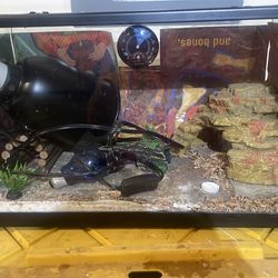 Lizard tank