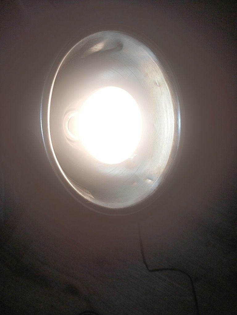 Bearded Dragon Night Light(Uvb) And Daylight(UV) And Feeding Tray