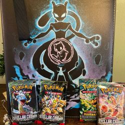 Pokemon Binder With 40 Cards