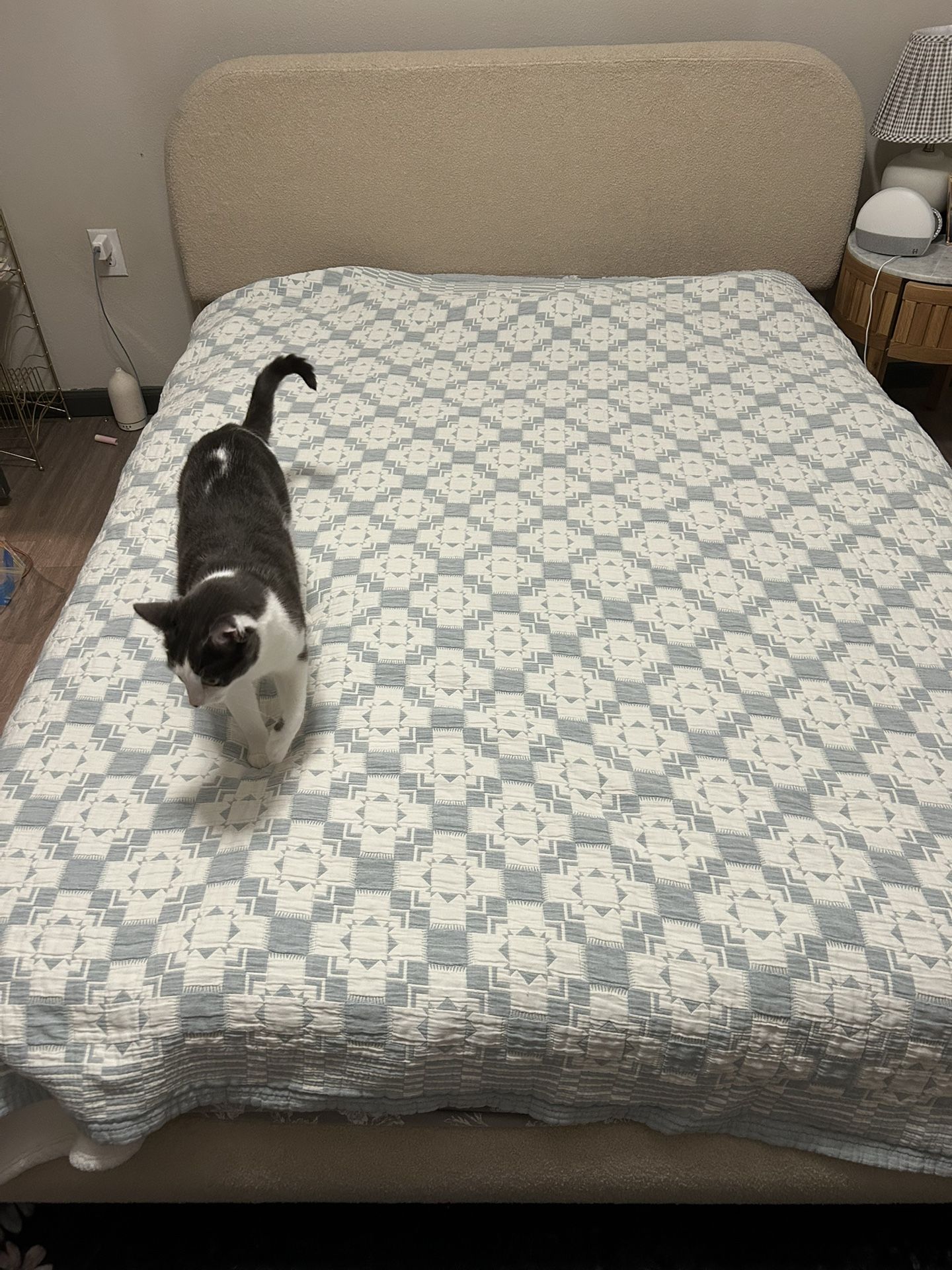 Cream Queen Bed Frame 