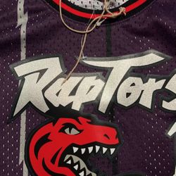 Raptors Jersey Mitchell N Ness