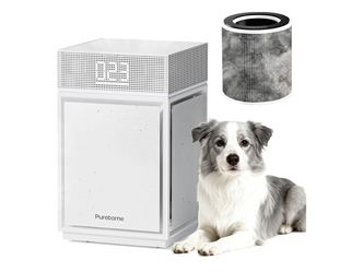 brand new Air Purifiers