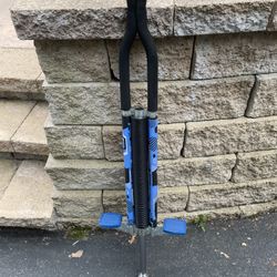 Pogo Stick Youth