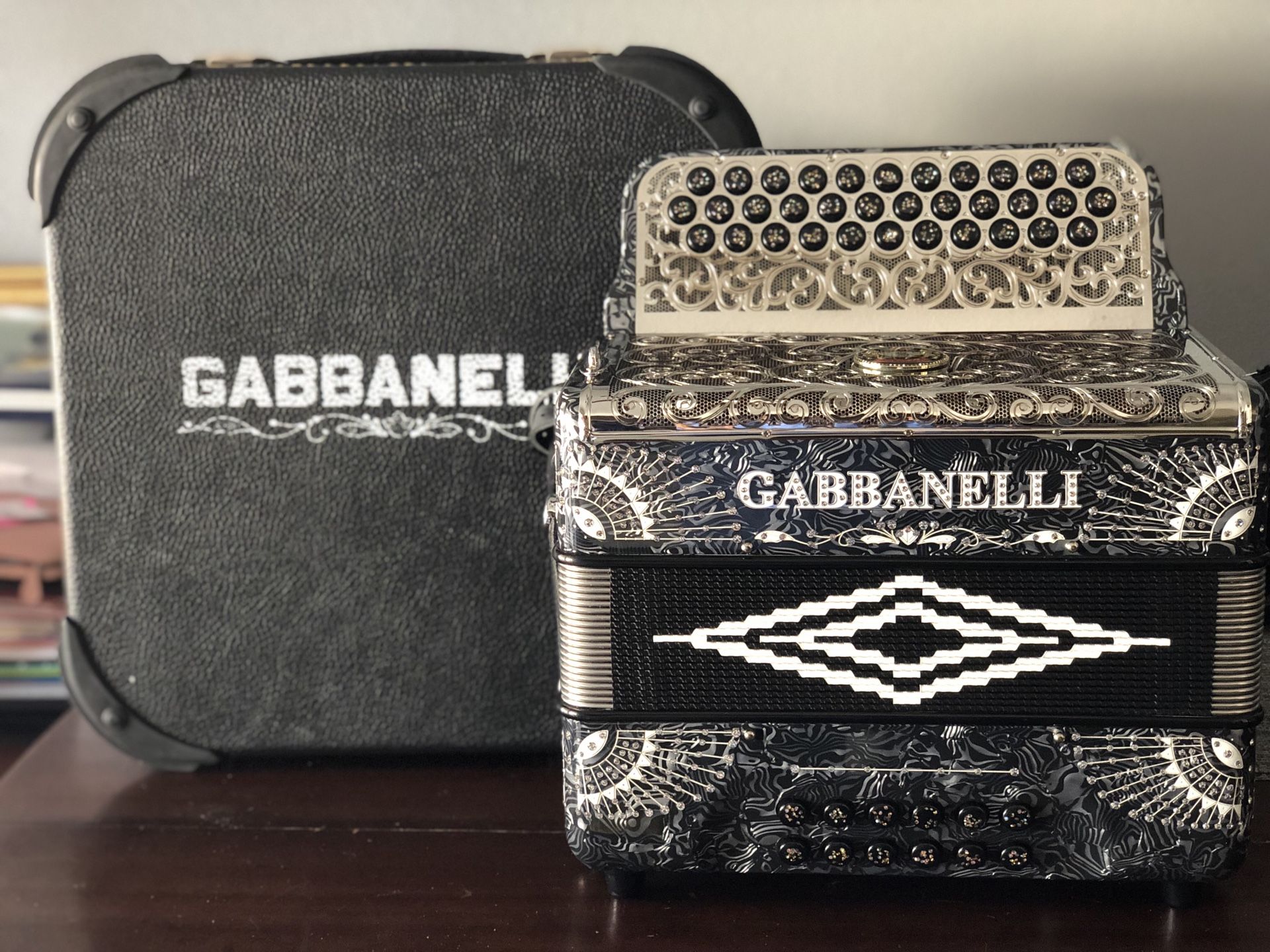 Gabbanelli accordion case online