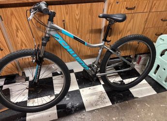 Schwinn Small frame 27.5” tires