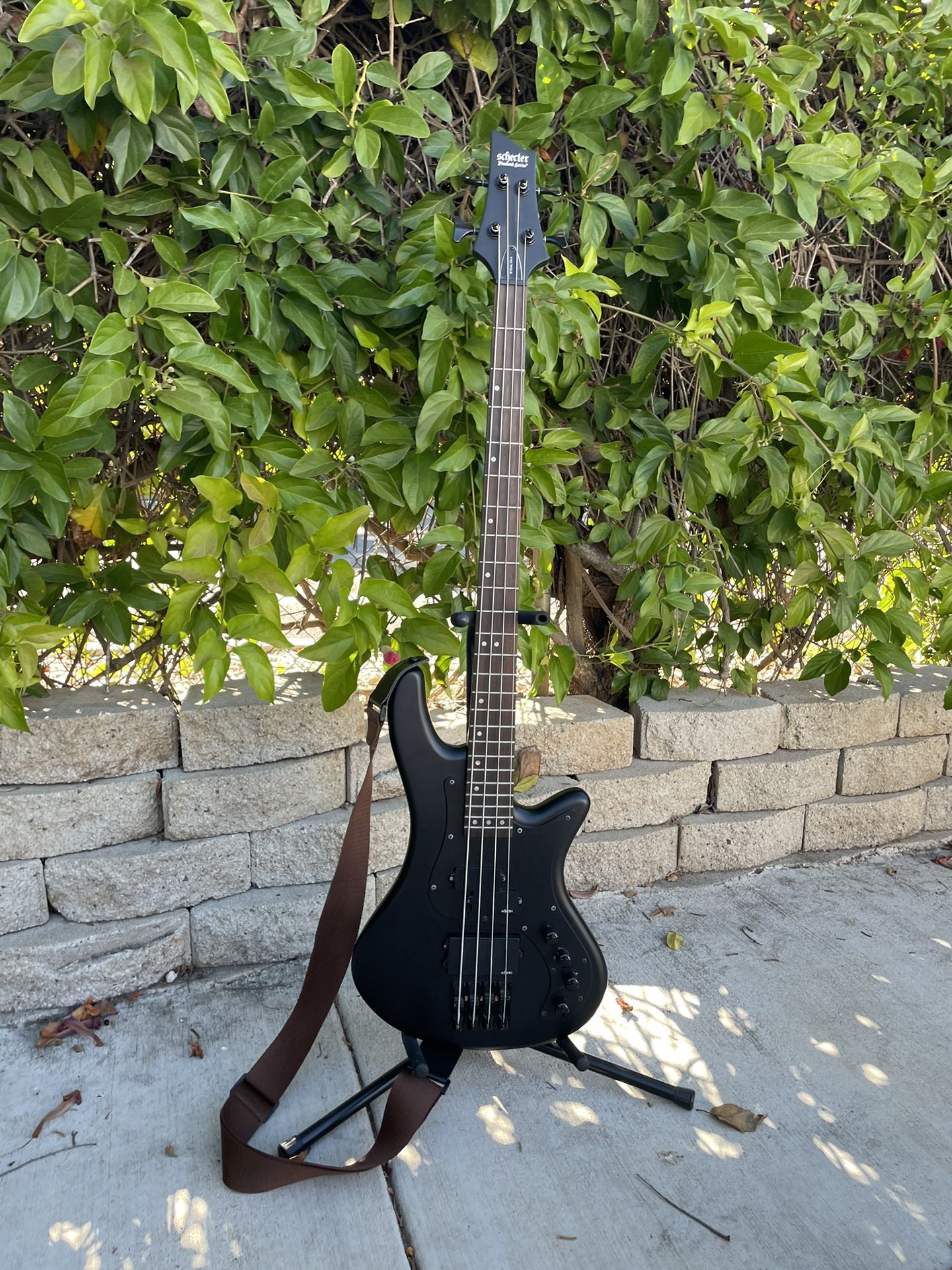 Schecter Bass Guitar