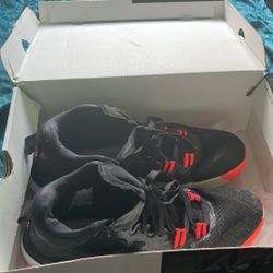 Jordan Zion 1