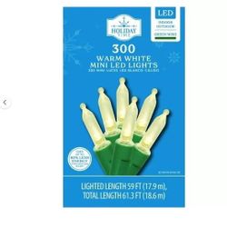 Christmas 300 Warm White, Red or Blue LED Lights $10 Each