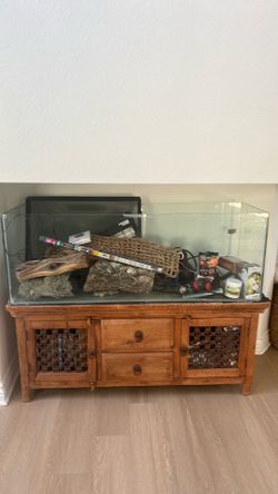 Bearded Dragon supplies