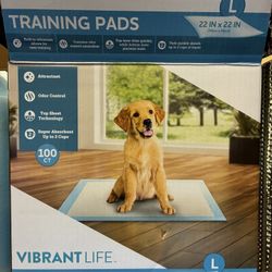 Dog Training Pee Pads. 100 Piece, 22 X 22 Size. All Stages And Size Of Dogs