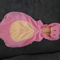 Carters baby dinosaur costume
