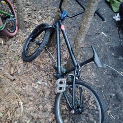 Custom Built Mirraco BMX 