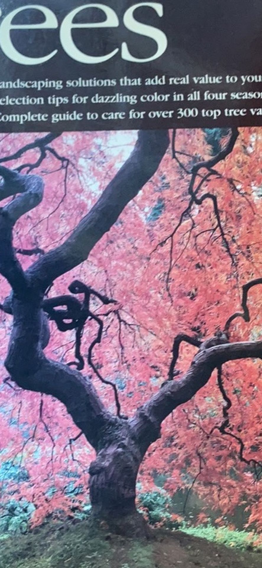 All About Trees