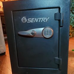 SentrySafe 4.25cu. ft. Digital Lock Business Security Safe