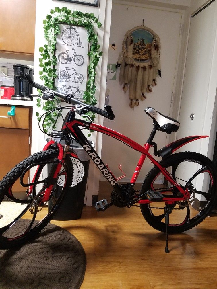 26inches Mountain bike Very nice Bike 21 Speed One Of A Kind 175 $