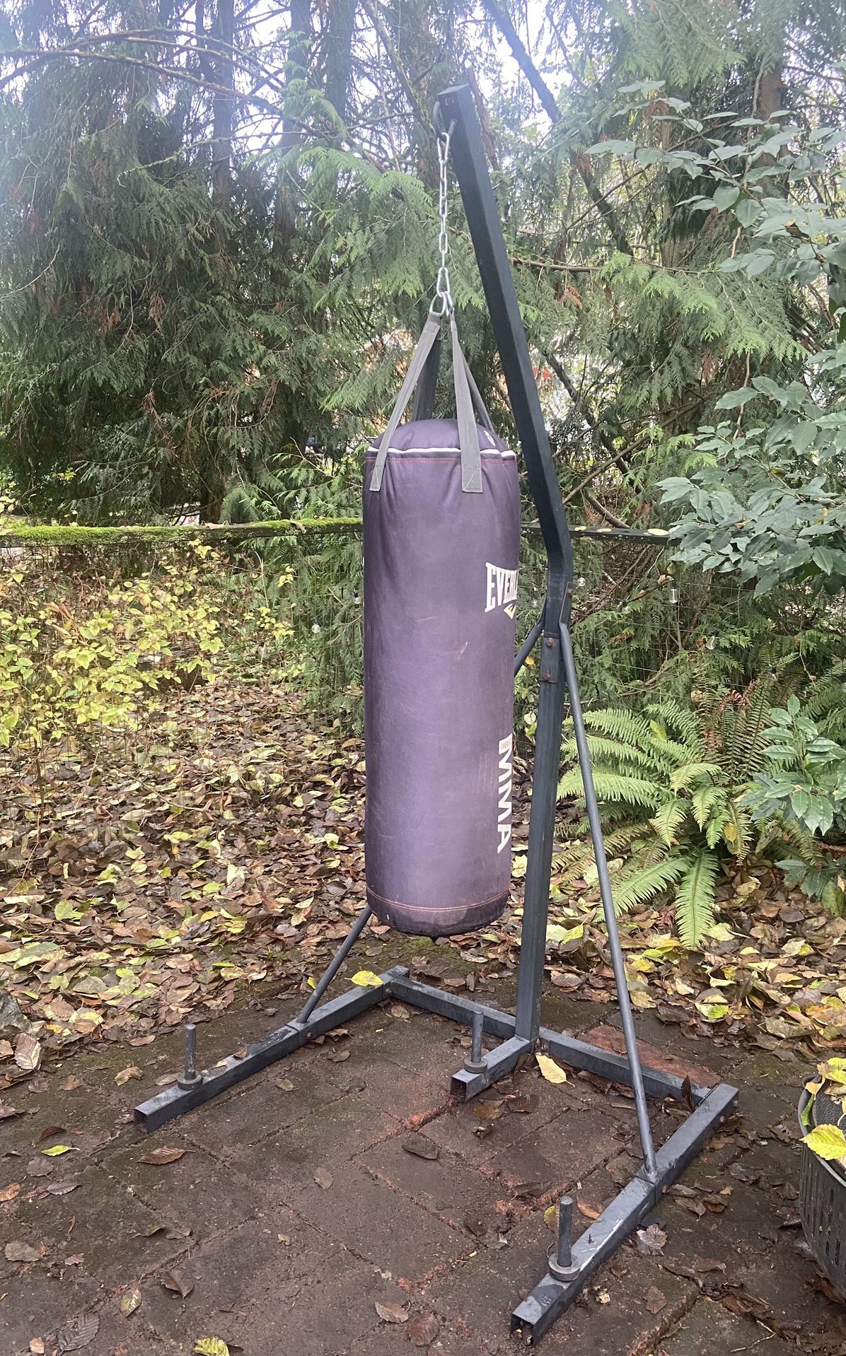 Everlast 100 Ibs MMA Punching Bag With Stand