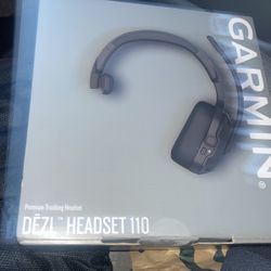 garmin DEZL110 