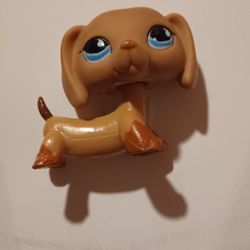 Lps