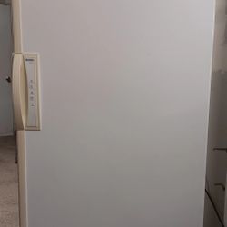 Large Freezer Delivered 