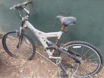 Vertical mountain bike