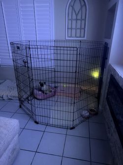 Xl Dog Kennel