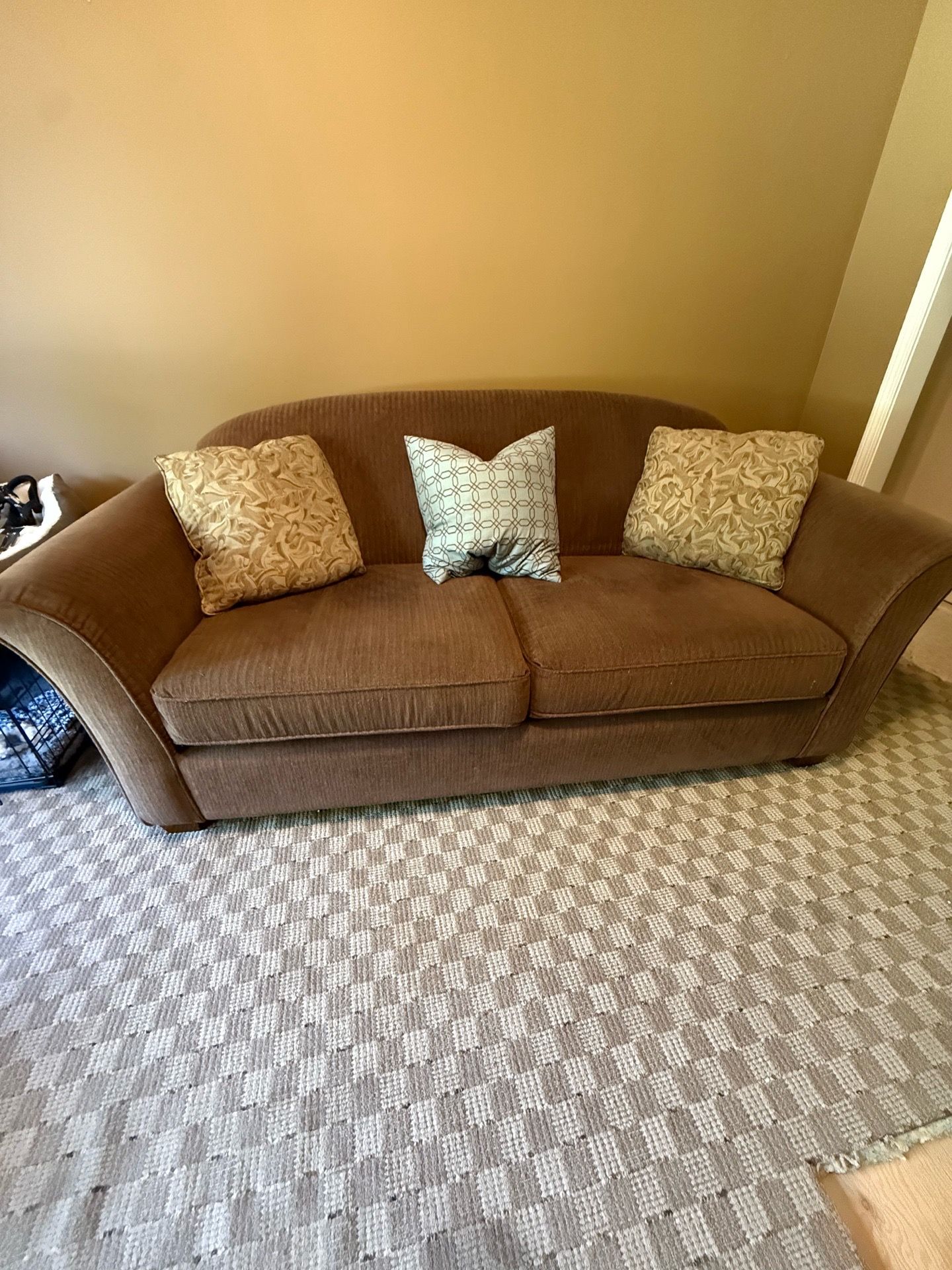 Loveseat sofa sleeper