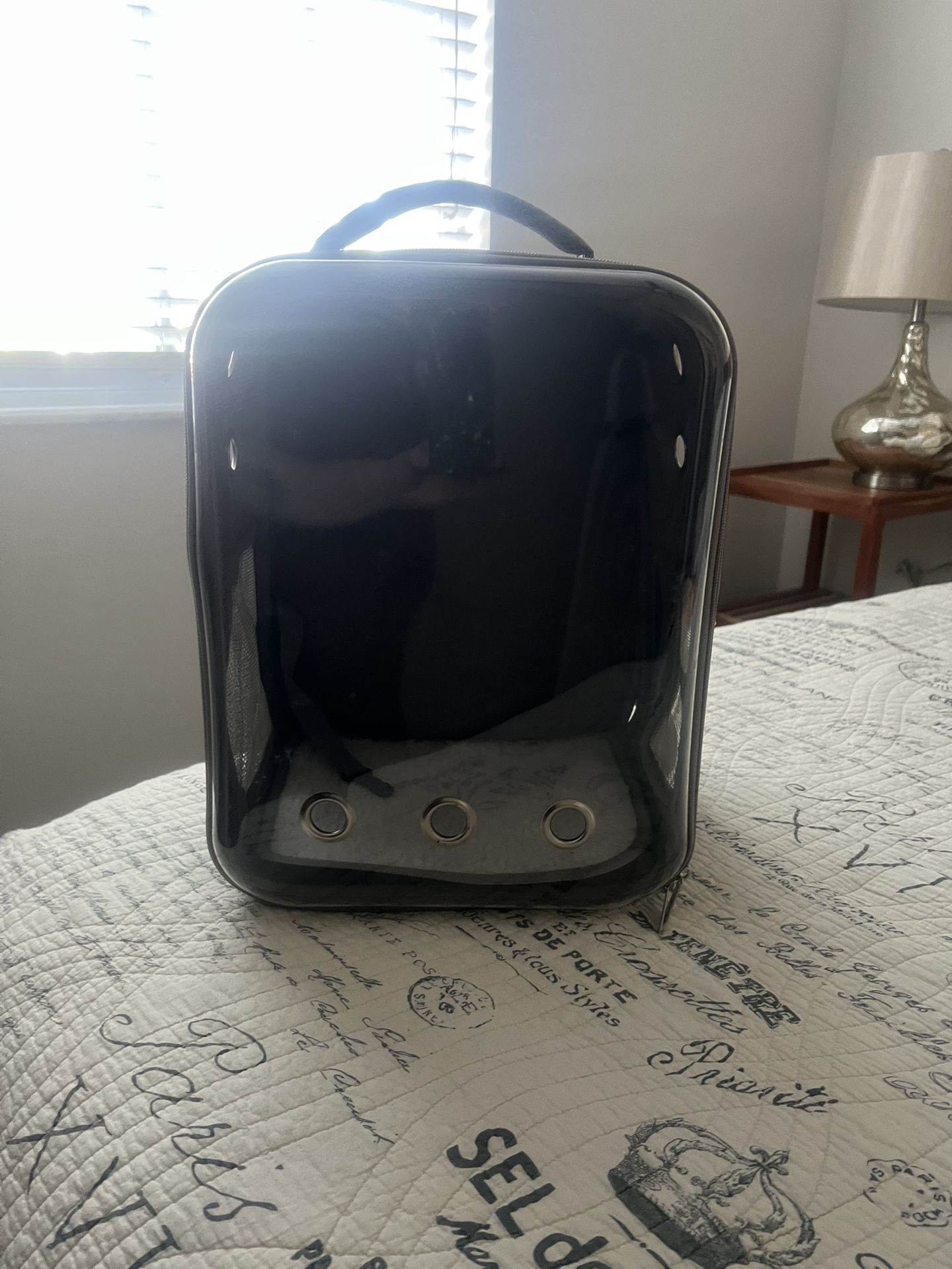 Cat Backpack