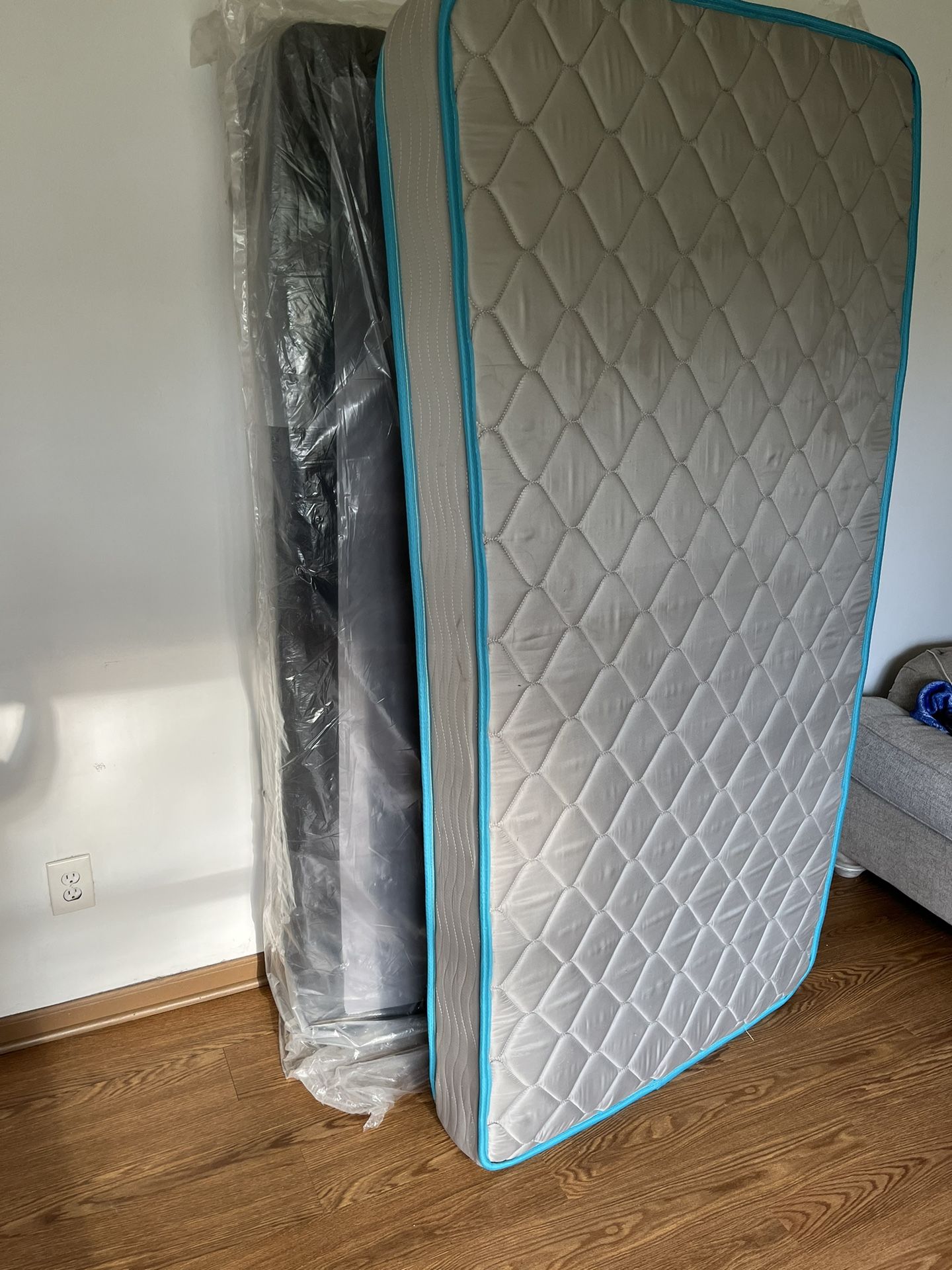 Twin Mattress And Box Spring.
