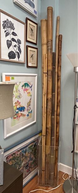 Lot of Bamboo Sticks 6-8 Feet tall