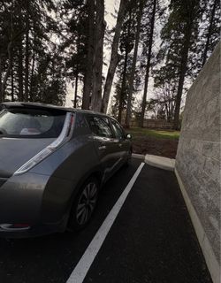 2014 Nissan Leaf
