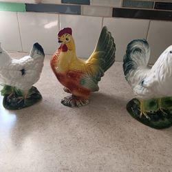 Chicken Rooster 