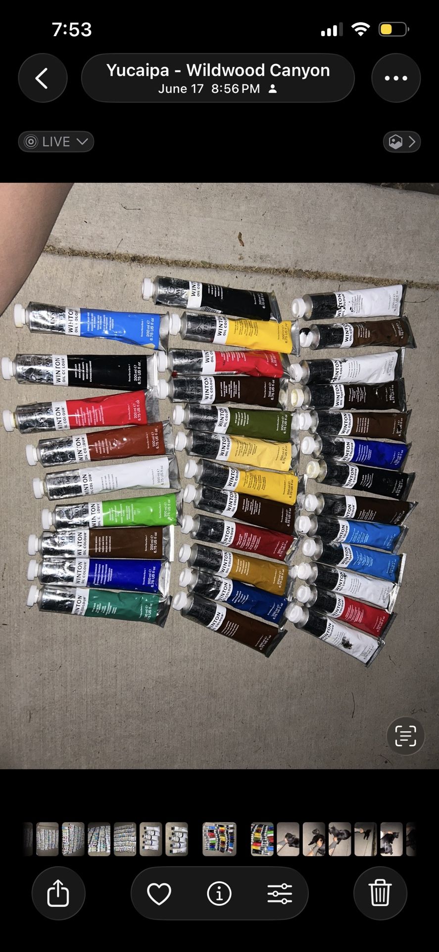 Brand New Winsor And Newton Oil Paint 