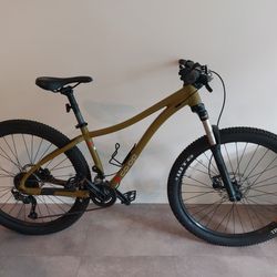 Mountain Bike REI Co-op 1.2 (Small)
