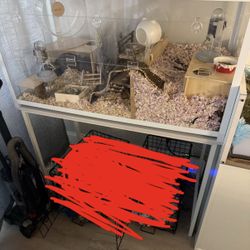 BUCATSTATE Hamster Cage