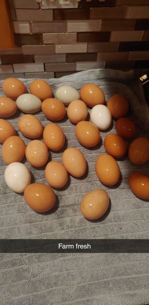 New And Used Farming For Sale In Kalamazoo Mi Offerup