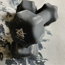 10 lbs dumbbells 