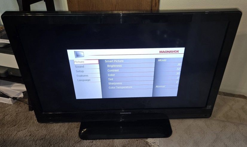 45" Magnavox Flat Screen TV.. Works Great!