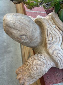 Concrete turtle planter