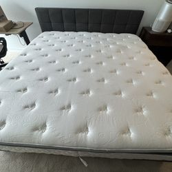King Bed Frame