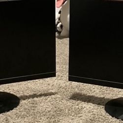 TWO 23” Acer Monitors 