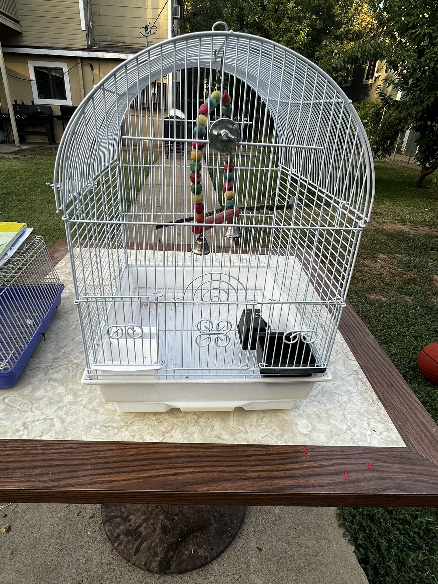 Bird Cage
