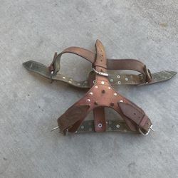 Dog - Leather Harness 
