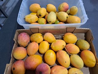 $1 each mangos-$10 minimum. See description