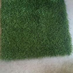 Happy Dog Rug Turf 2'×2'  $5