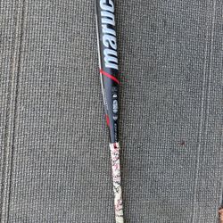 Softball Ball Bat