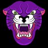 Purple Panther Vintage