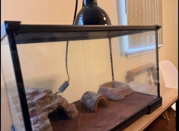 10 Gallons Reptile Terrarium tank w/ lid size is 20x10×13 everything in the photo is included