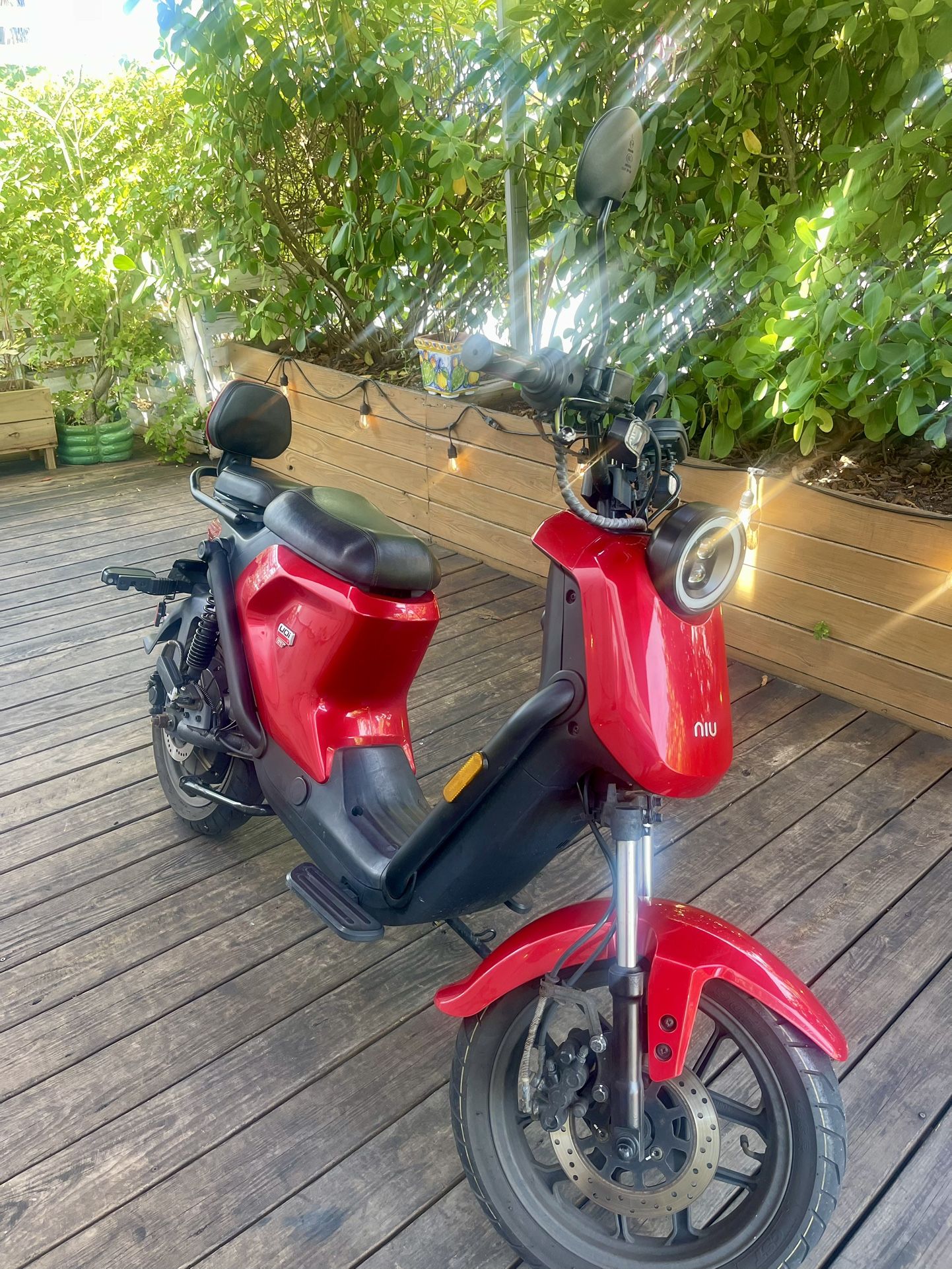 Electric Scooter motorbike NIU Great Conditions!!
