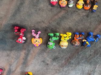 Paw patrol